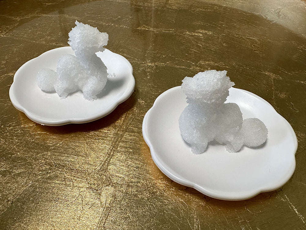 龍の盛り塩作成セット(盛り塩型、形成用専用棒、花皿2枚)