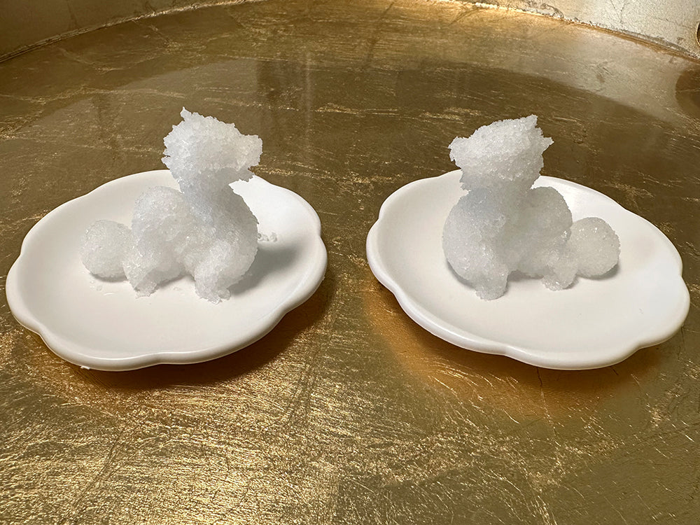 龍の盛り塩作成セット(盛り塩型、形成用専用棒、花皿2枚)